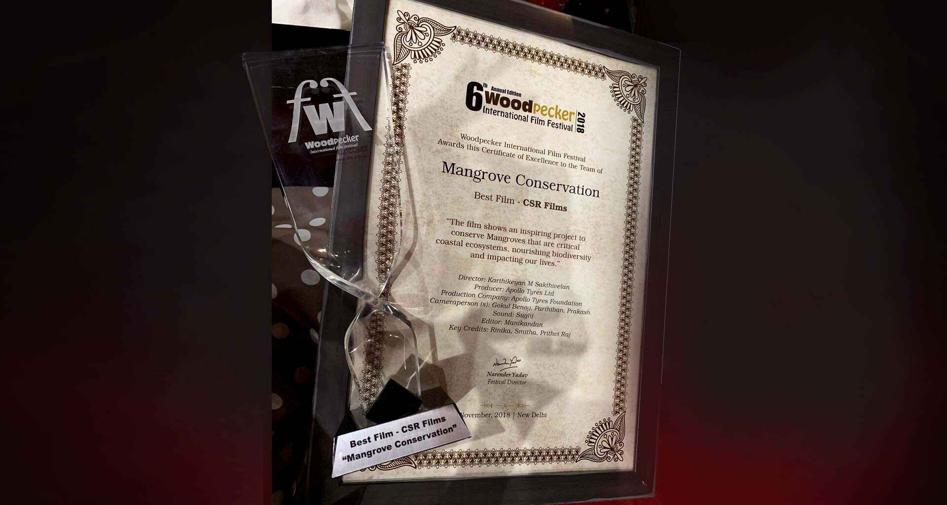 Woodpecker Film Festival Award 2018